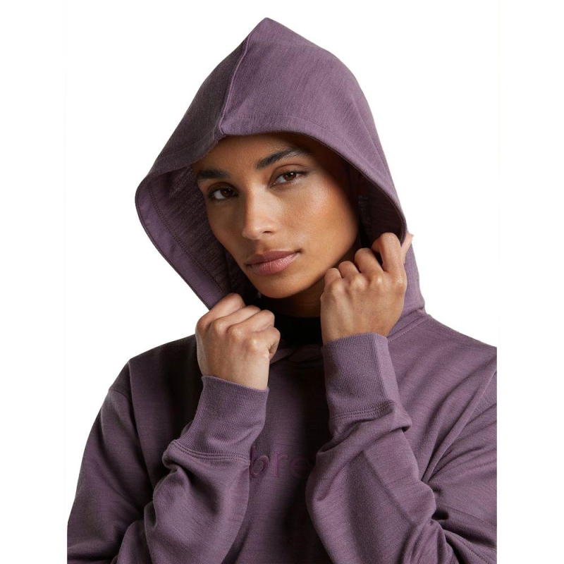 Icebreaker Mer 360 RealFleece Elemental LS Hood Women's Grey Plum vest