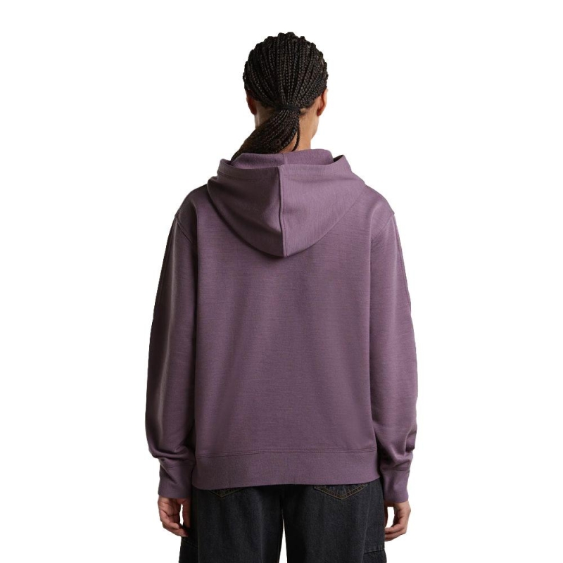 Icebreaker Mer 360 RealFleece Elemental LS Hood Women's Grey Plum vest